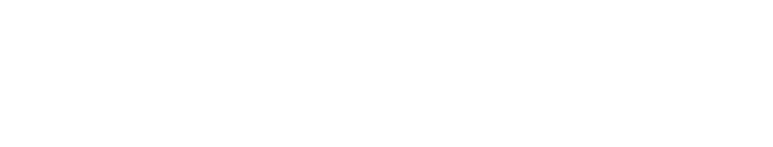 NordicWay logo